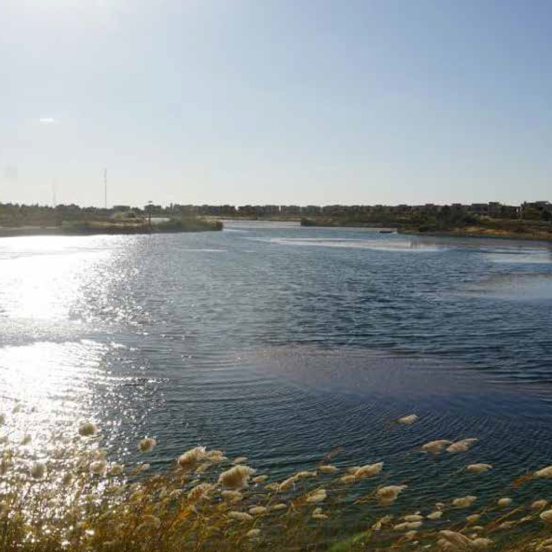 Lake